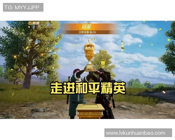 专访陈丽揭秘和平精英成功背后的策略与创新之路